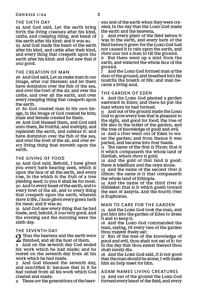KJV, Holy Bible, Larger Print, Paperback budget