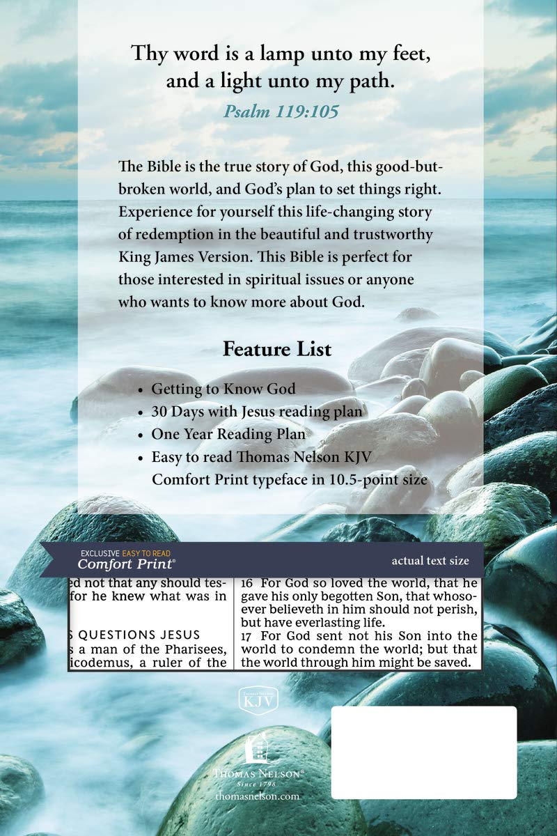 KJV, Holy Bible, Larger Print, Paperback budget