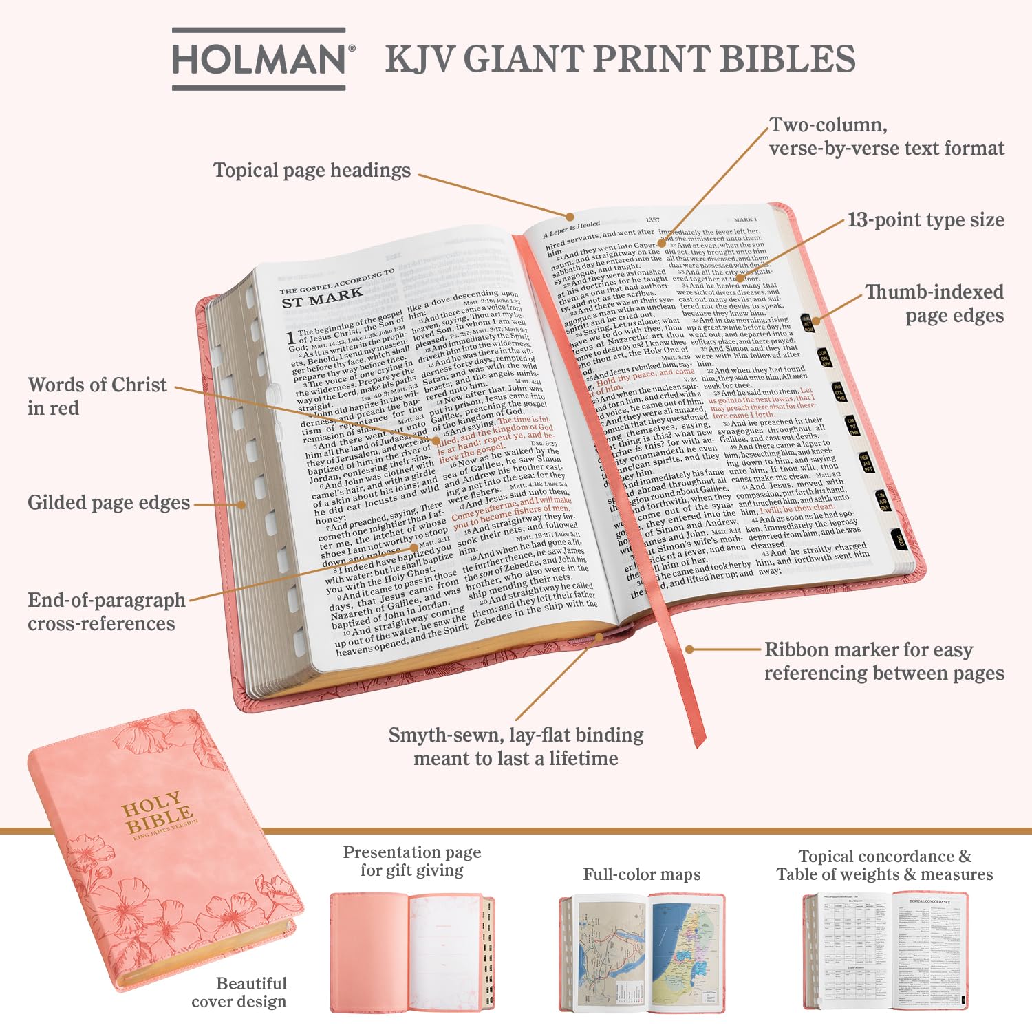 KJV Holy Bible, Giant Print Pink