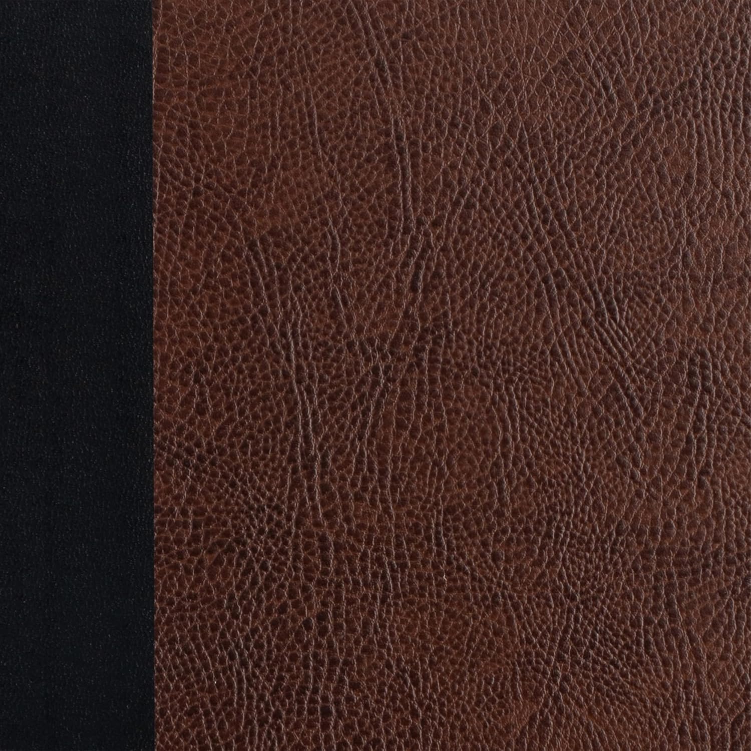 KJV Notetaking Bible, Black/Brown Hardcover