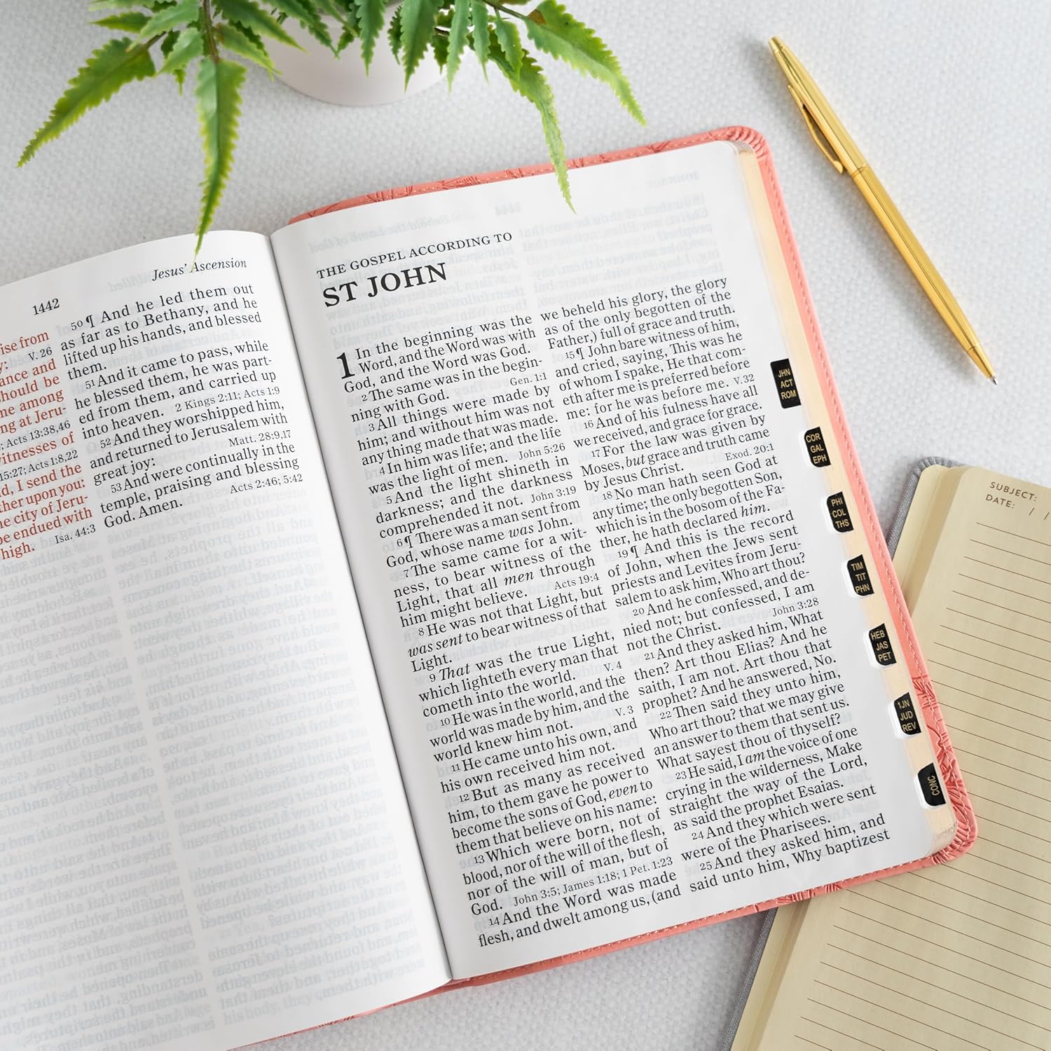 KJV Holy Bible, Giant Print Pink